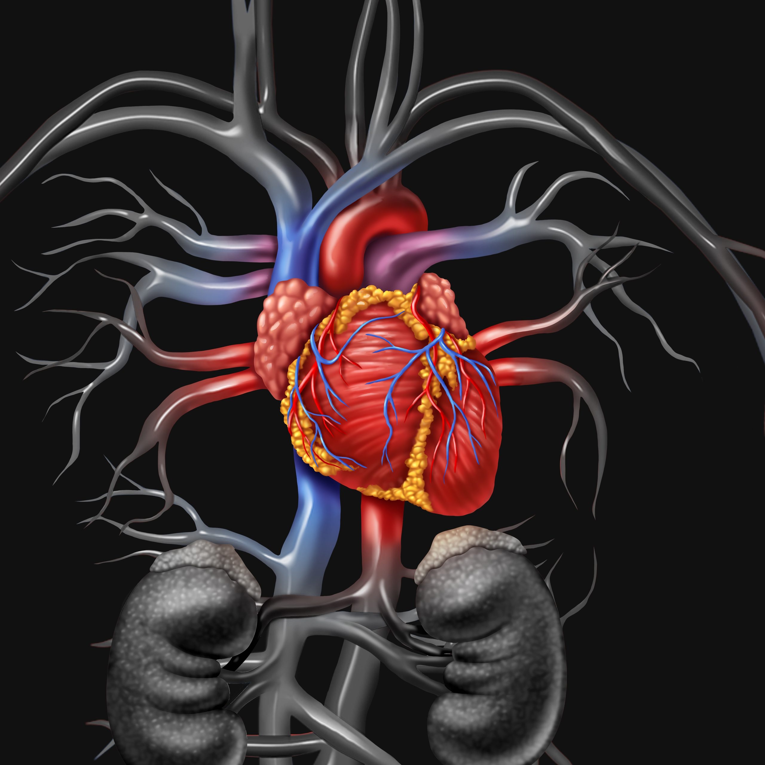 Hypothermic Circulatory Arrest at 20°C: No Increased Coagulopathy Risk ...
